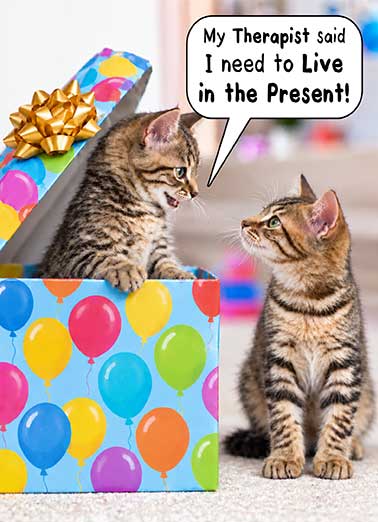 Cats In Present Funny Birthday Card  Send someone a personalized greeting card just in time for their birthday! | cats in present funny greeting card kitten cute hilarious  Wishing you the gift of a happy birthday!